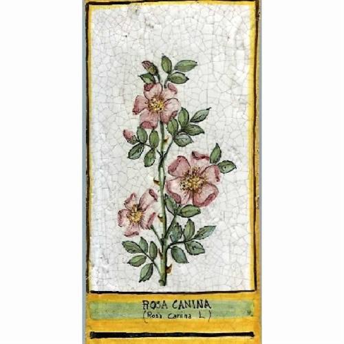 MATTONE Cm.10x20 ROSA CANINA